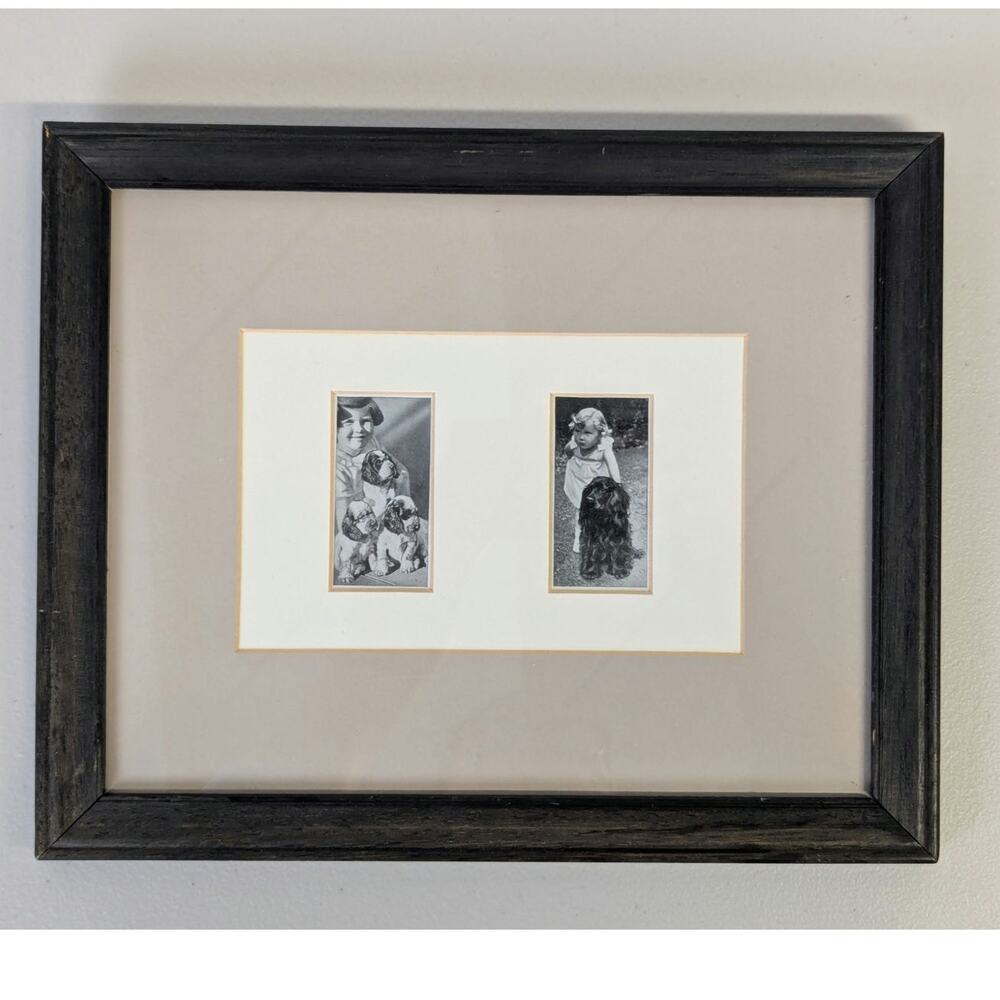 Vtg Cocker Spaniel Photos Framed Dogs and Friend Black White Lady Kitty Ritson